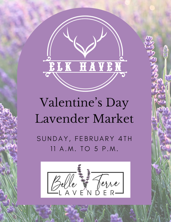 Flyer for February 4, 2024 Valentine's Day Lavender Market